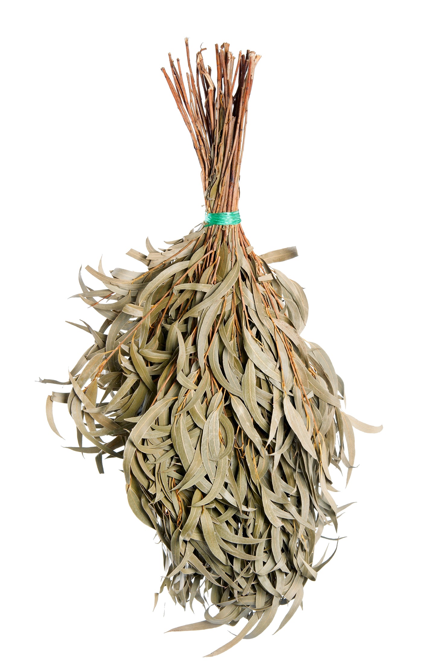 Biweekly Subscription